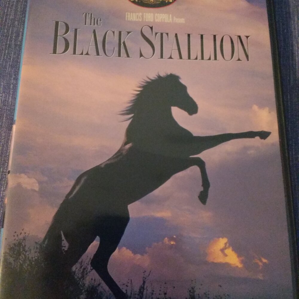 The Black Stallion DVD Like New